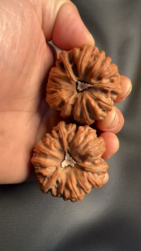 Hand-held walnuts, concave bottom, perfectly triangular shape, high-end and elegant, exquisite pair, red skin, mountain-grown fruit. A fine pair, perfect for personal enjoyment or as a gift.