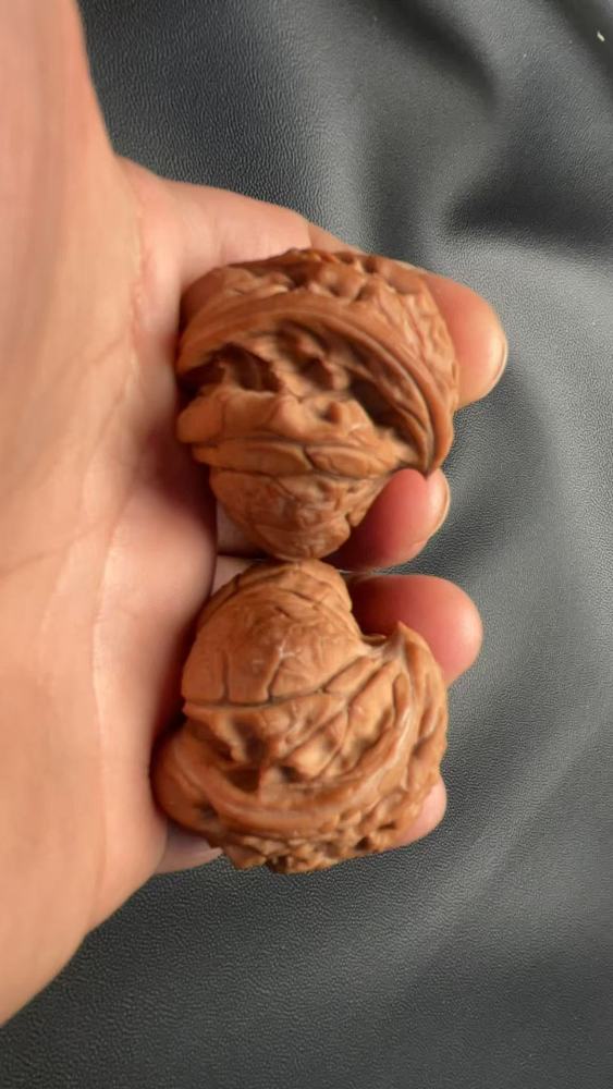 Hand-carved walnut with a naturally grown snake-head shape, in perfect condition.