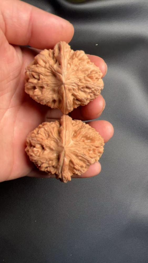 Handcrafted walnuts, a type of walnut known for its robust shape and natural growth. These are flawless, unprocessed walnuts from old, naturally formed trees with a high-quality, dense texture.