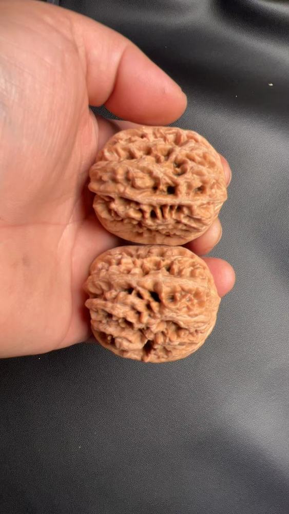 Handcrafted walnuts, a type of walnut known for its robust shape and natural growth. These are flawless, unprocessed walnuts from old, naturally formed trees with a high-quality, dense texture.