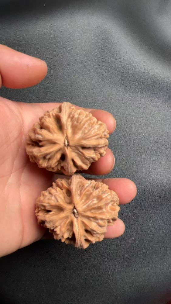 Handcrafted walnuts, a type of walnut known for its robust shape and natural growth. These are flawless, unprocessed walnuts from old, naturally formed trees with a high-quality, dense texture.