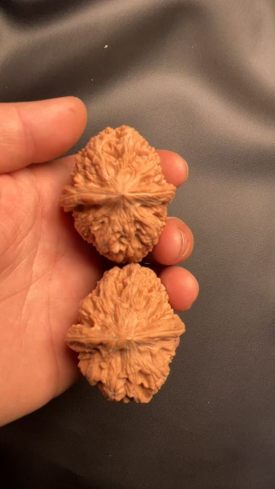 Handcrafted walnuts, a type of walnut known for its robust shape and natural growth. These are flawless, unprocessed walnuts from old, naturally formed trees with a high-quality, dense texture.