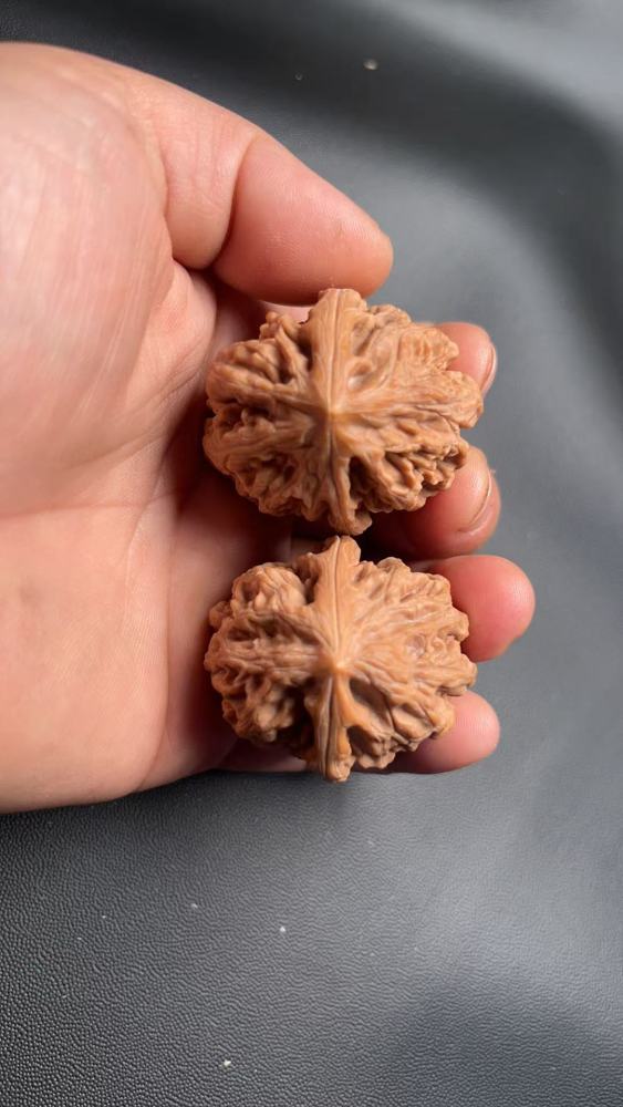 These are hand-carved walnuts with a thick, rugged texture, naturally grown, a fine pair, and top-quality skin.