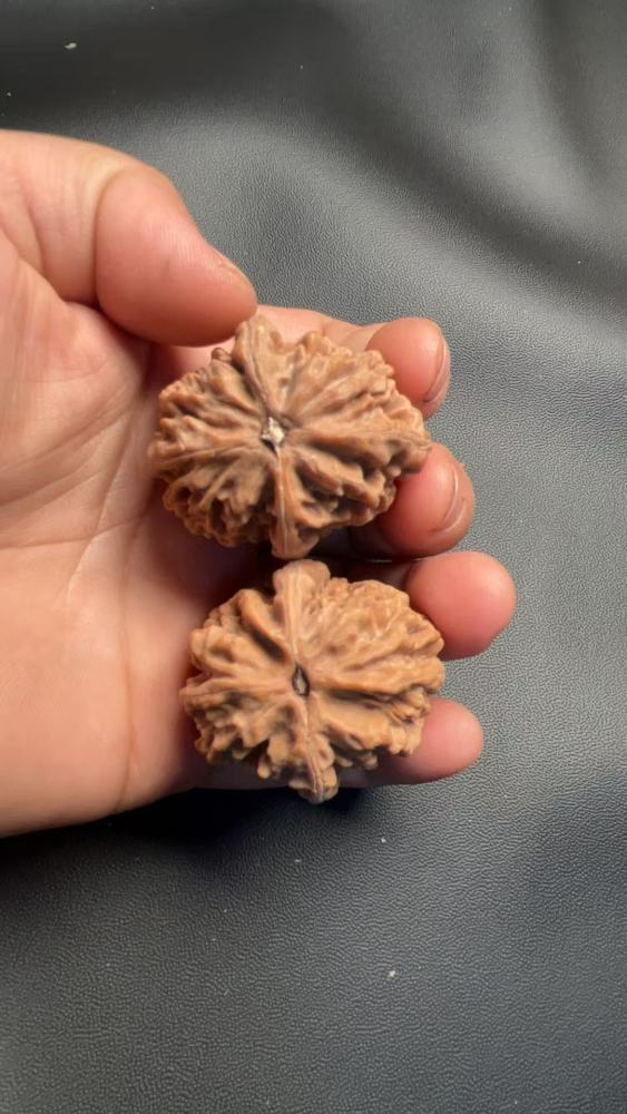 These are hand-carved walnuts with a thick, rugged texture, naturally grown, a fine pair, and top-quality skin.