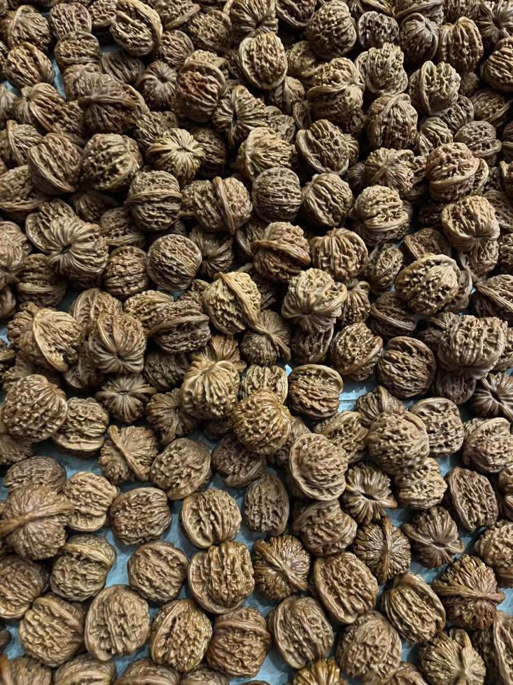 Walnuts for collecting and playing with, loose stock, any variety, random size, bulk orders preferred, take-out welcome.