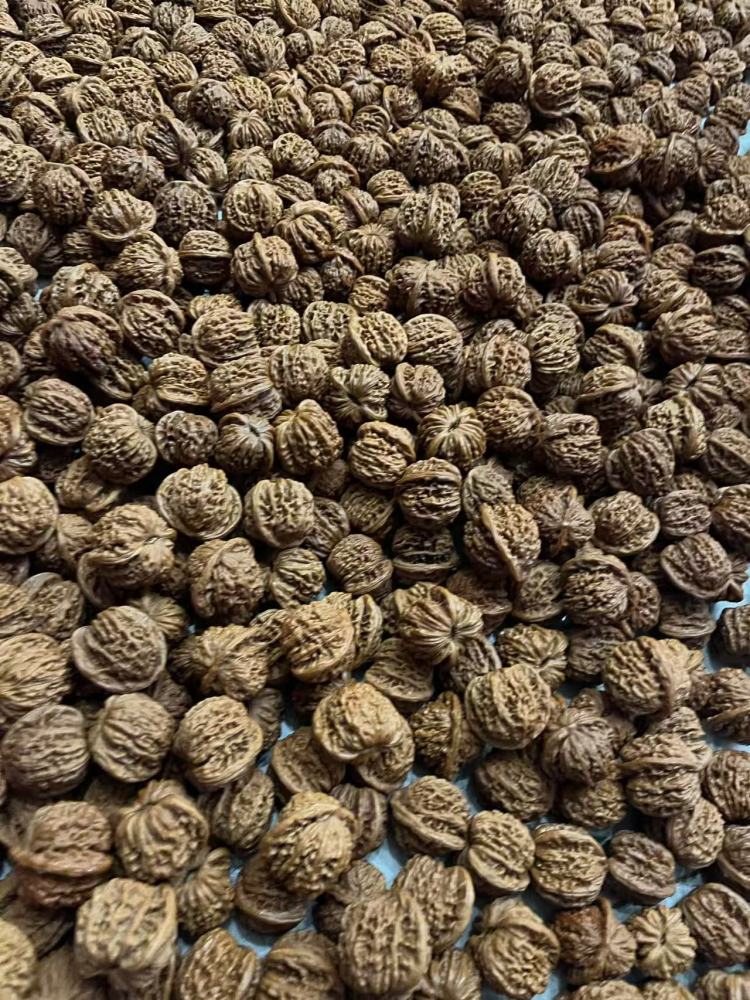 Walnuts for collecting and playing with, loose stock, any variety, random size, bulk orders preferred, take-out welcome.
