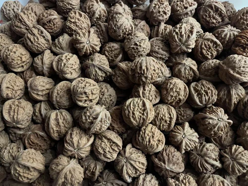 Walnuts for collecting and playing with, loose stock, any variety, random size, bulk orders preferred, take-out welcome.