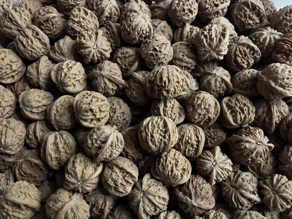 Walnuts for collecting and playing with, loose stock, any variety, random size, bulk orders preferred, take-out welcome.