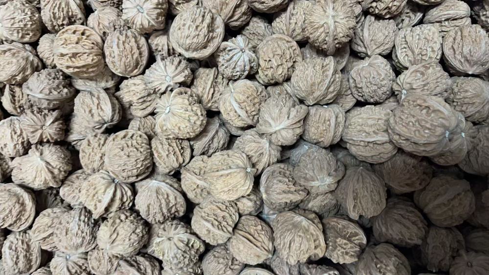 Walnuts for collecting and playing with, loose stock, any variety, random size, bulk orders preferred, take-out welcome.
