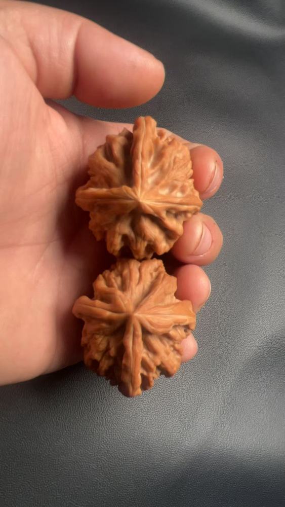 Playful walnuts, a must-have for hand-polishing; Cao Dalong Lion's Head three-sided walnuts, naturally grown, a symbol of high-end gifts; perfect for leaders, friends, and parents; crystal wax skin, promoting health and wellness, and potentially helping t
