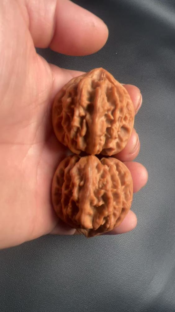 Playful walnuts, a must-have for hand-polishing; Cao Dalong Lion's Head three-sided walnuts, naturally grown, a symbol of high-end gifts; perfect for leaders, friends, and parents; crystal wax skin, promoting health and wellness, and potentially helping t