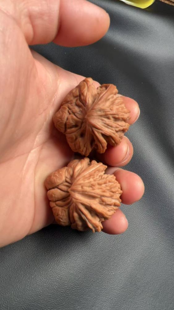 Hand-carved walnut with a naturally grown snake-head shape, in perfect condition.