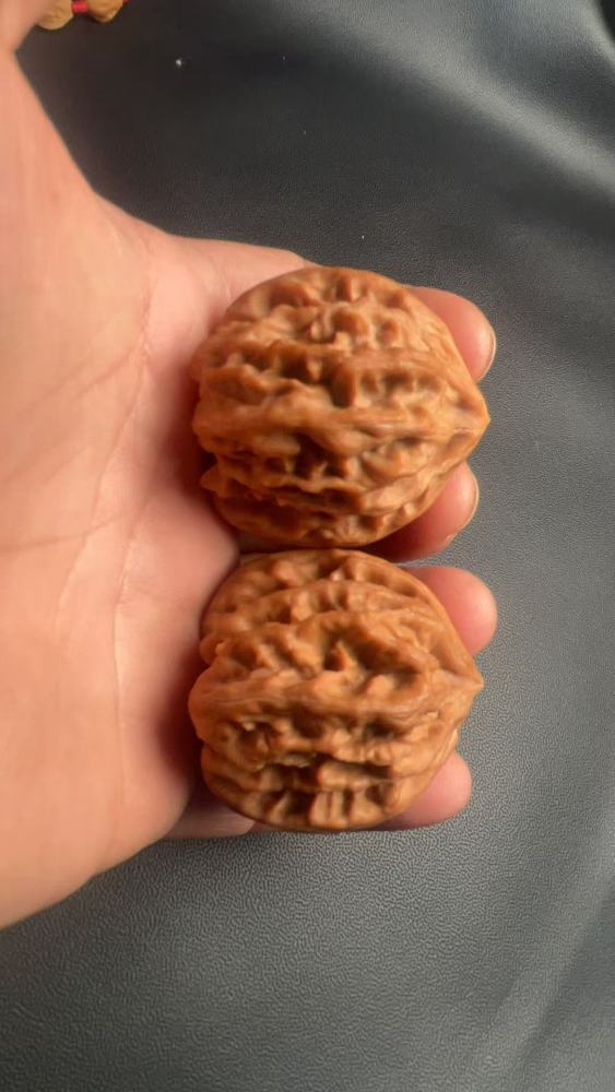 Playful walnuts, a must-have for hand-polishing; Cao Dalong Lion's Head three-sided walnuts, naturally grown, a symbol of high-end gifts; perfect for leaders, friends, and parents; crystal wax skin, promoting health and wellness, and potentially helping t