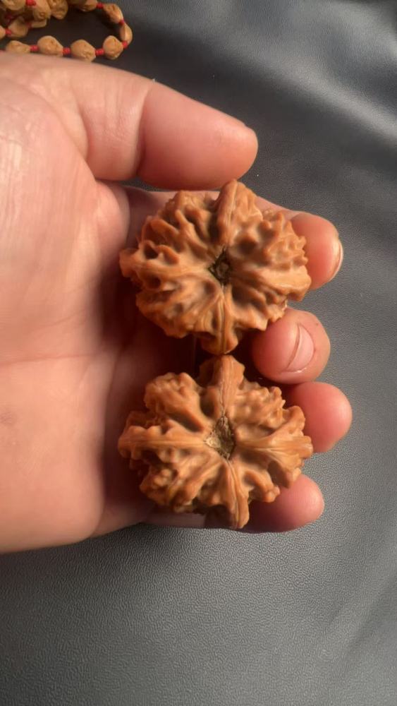 Playful walnuts, a must-have for hand-polishing; Cao Dalong Lion's Head three-sided walnuts, naturally grown, a symbol of high-end gifts; perfect for leaders, friends, and parents; crystal wax skin, promoting health and wellness, and potentially helping t