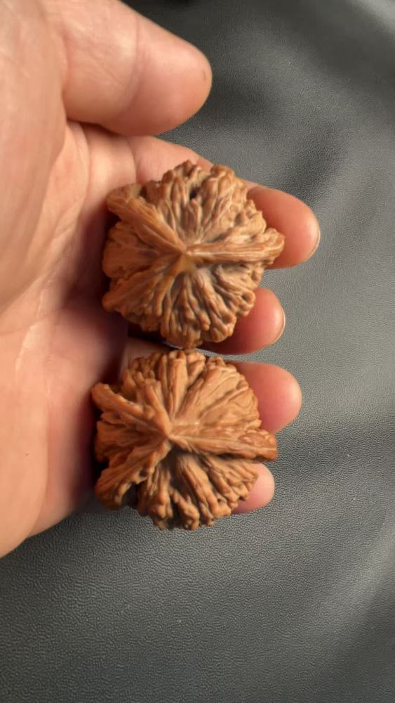 These are hand-carved, three-sided walnuts from the "Four Towers" variety, naturally grown, from old trees, in pairs, and they color quickly. A healthy and enjoyable treat, and a perfect gift.