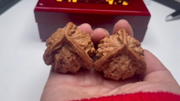 Panshan Triple Ridge Wenwan Walnut, Collectible Natural Special-shaped, Hand Therapy Decompression Oriental Gift