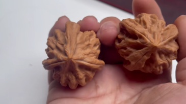 Cao Dalong Triple Ridge Wenwan Walnut, Collectible Natural Special-shaped, Oriental Micro-art Hand Therapy Fidget Gift