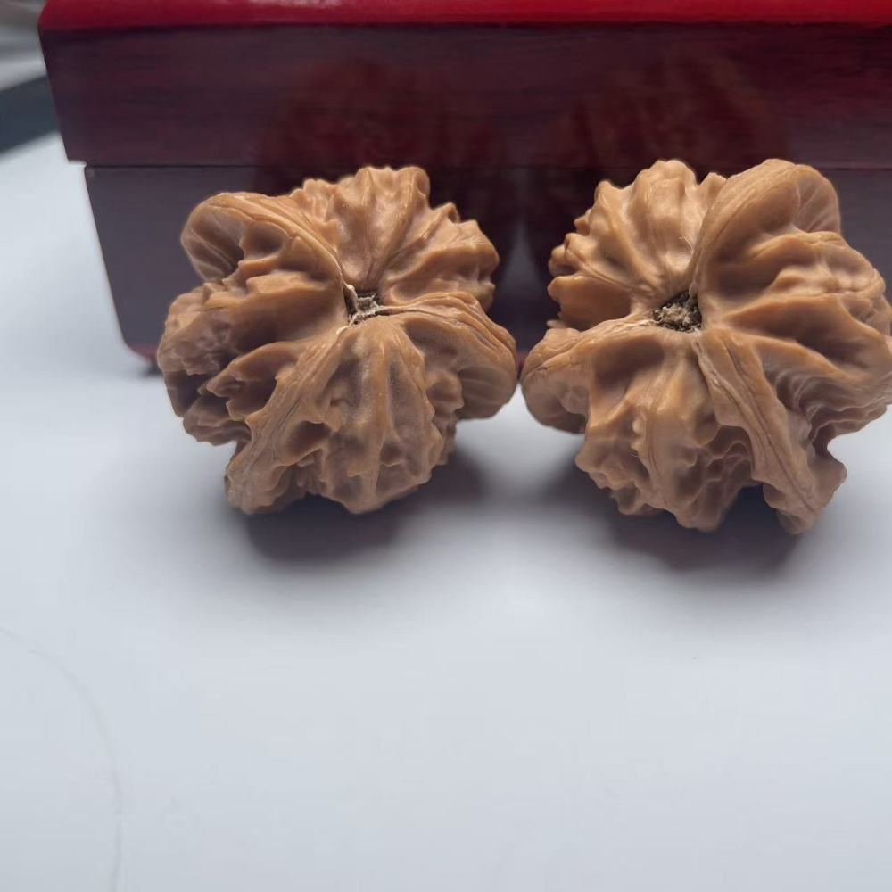 Cao Dalong Triple Ridge Wenwan Walnut, Collectible Natural Special-shaped, Oriental Micro-art Hand Therapy Fidget Gift