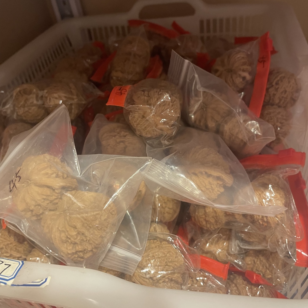 White Lion Head, Nanjiangshi Lion Head, Sizuolou Lion Head Wenwan Walnuts, 3 Pairs for $100, Natural Taihang Mountain Collection Grade Hand Play Pieces
