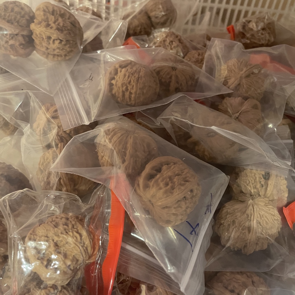 White Lion Head, Nanjiangshi Lion Head, Sizuolou Lion Head Wenwan Walnuts, 3 Pairs for $100, Natural Taihang Mountain Collection Grade Hand Play Pieces