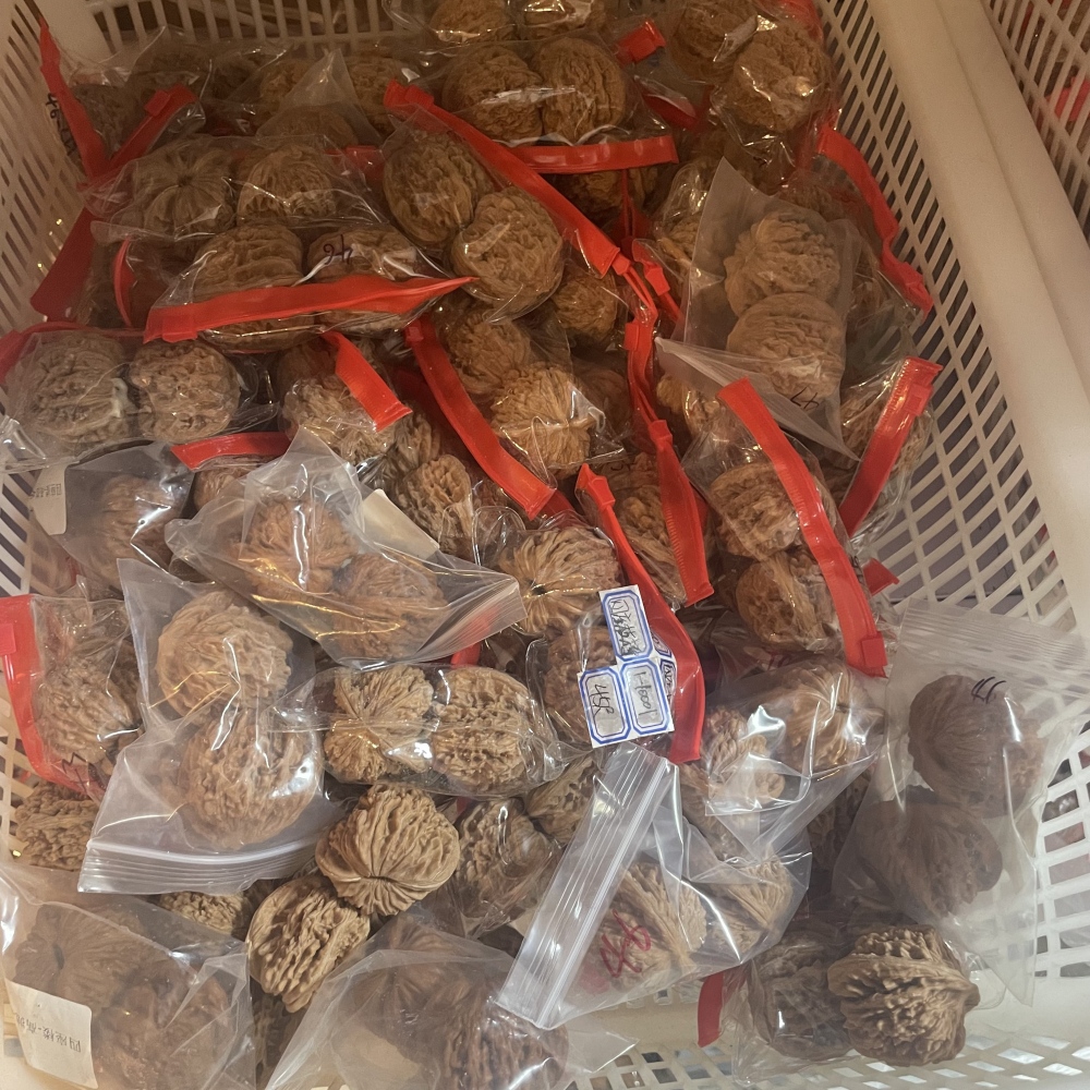 White Lion Head, Nanjiangshi Lion Head, Sizuolou Lion Head Wenwan Walnuts, 3 Pairs for $100, Natural Taihang Mountain Collection Grade Hand Play Pieces