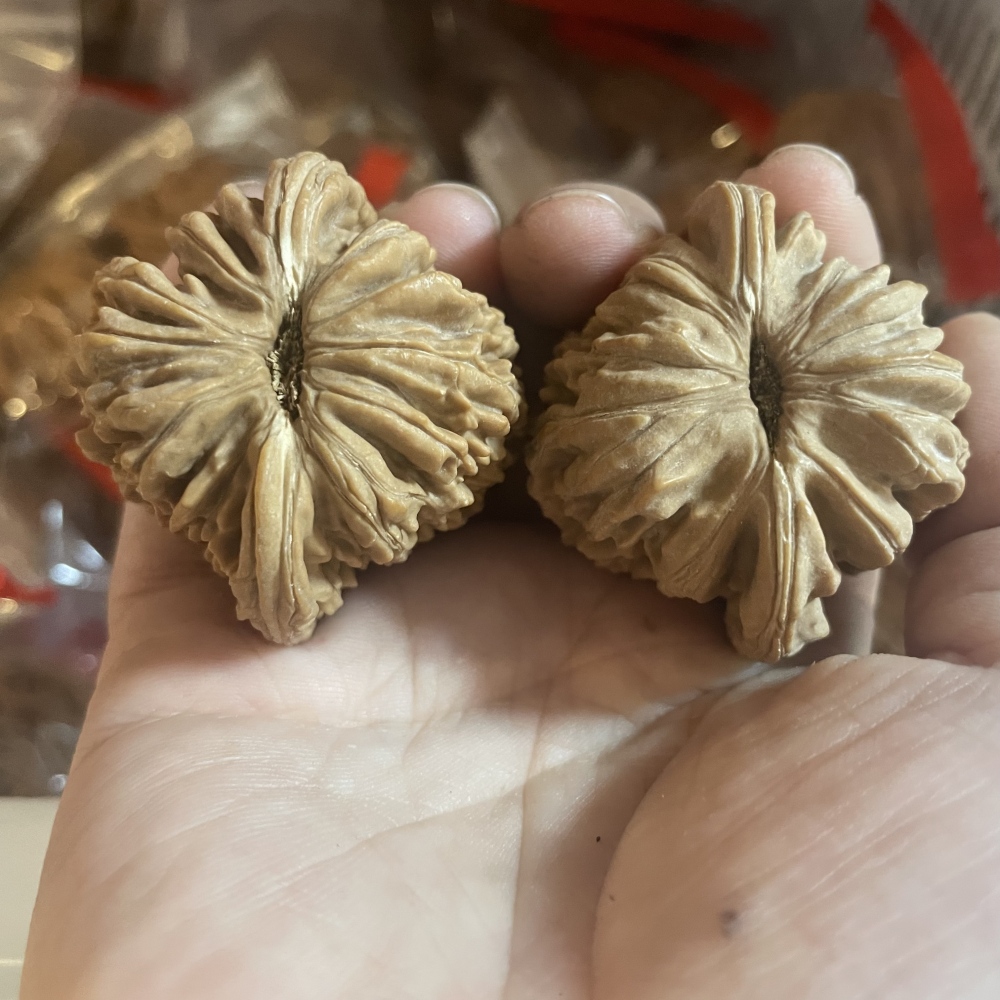 White Lion Head, Nanjiangshi Lion Head, Sizuolou Lion Head Wenwan Walnuts, 3 Pairs for $100, Natural Taihang Mountain Collection Grade Hand Play Pieces