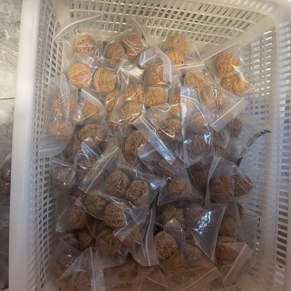 White Lion Head, Nanjiangshi Lion Head, Sizuolou Lion Head Wenwan Walnuts, 3 Pairs for $100, Natural Taihang Mountain Collection Grade Hand Play Pieces