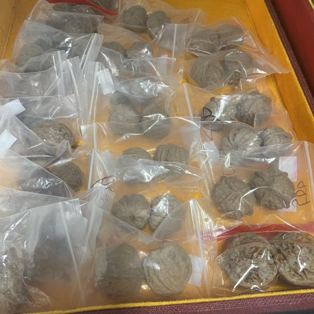 Panshan Three Ridges Wenwan Walnuts Rare Collection Hand Play Balls Premium Three Ridges Wenwan Walnuts for Fingertip Exercise & Health Care Rare Panshan Three Ridges Walnuts Luxury Gift  Collection Grade Natural Three Ridges Wenwan Walnuts Hand Play Bal