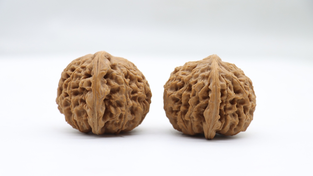 Water Dragon Pattern Two-Edge Antique Walnuts, Natural Wild Raw Fruit, Precision Matching, Easy Patina Redening, Collection-Grade Handheld Ornament