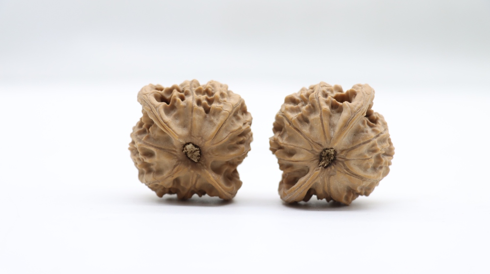 Big Ear Tutu Two-Edge Wenwan Walnut, Hand-Carved Natural Walnut, Collectible Ginseng Walnut for Play & Decoration, Premium Quality for Hobbyists