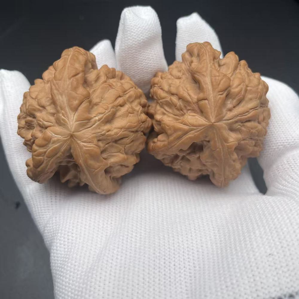 Premium Longding Triangular Wenwan Walnut | Dragon Cauldron Triangular Gourd Walnut for Collection & Hand Play, Natural Matured Nut with Exquisite Texture