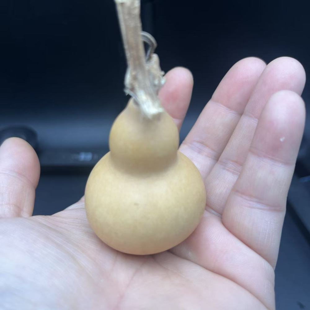 Natural Hand-Picked Wenwan Gourd | Playable & Collectible, Patina-Forming, Hand-Polished, Perfect for Wenwan Enthusiasts & Collectors