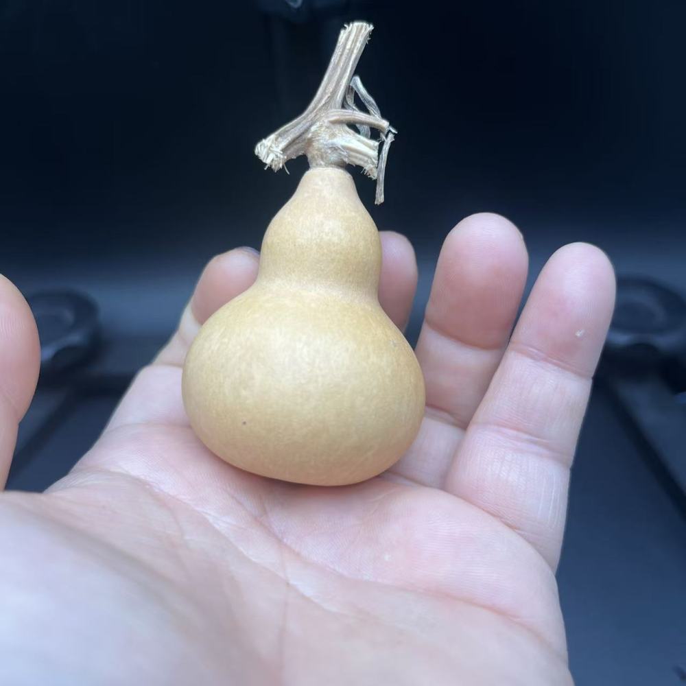 Natural Hand-Picked Wenwan Gourd | Playable & Collectible, Patina-Forming, Hand-Polished, Perfect for Wenwan Enthusiasts & Collectors