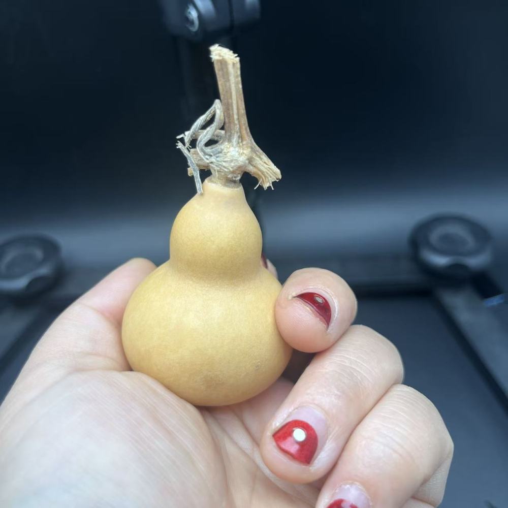 Natural Hand-Picked Wenwan Gourd | Playable & Collectible, Patina-Forming, Hand-Polished, Perfect for Wenwan Enthusiasts & Collectors