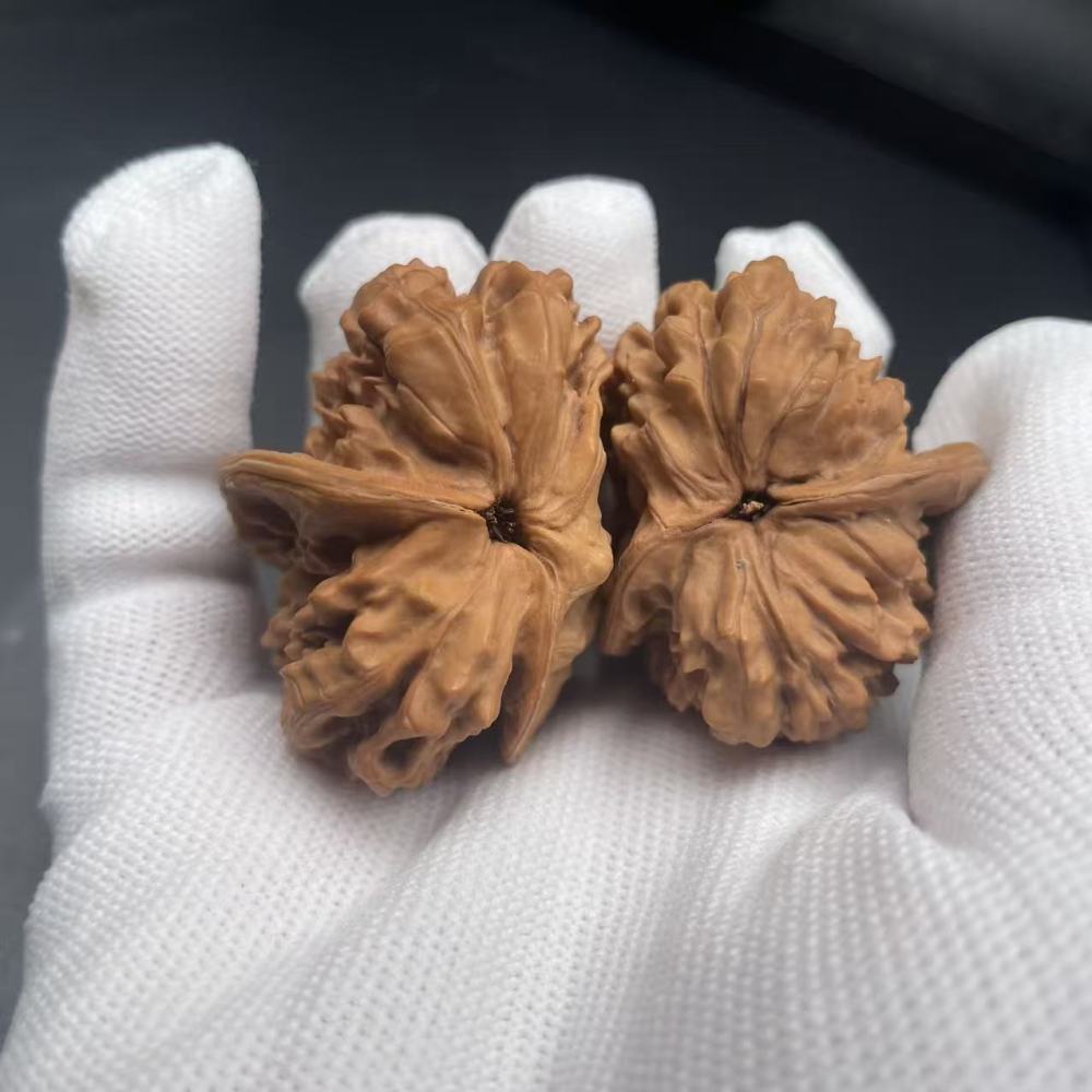 High-Quality Official Hat Half-Wall Wenwan Walnut | Natural Hand-Picked Guanmao Banbi, Collectible & Playable, Perfect for Wenwan Enthusiasts