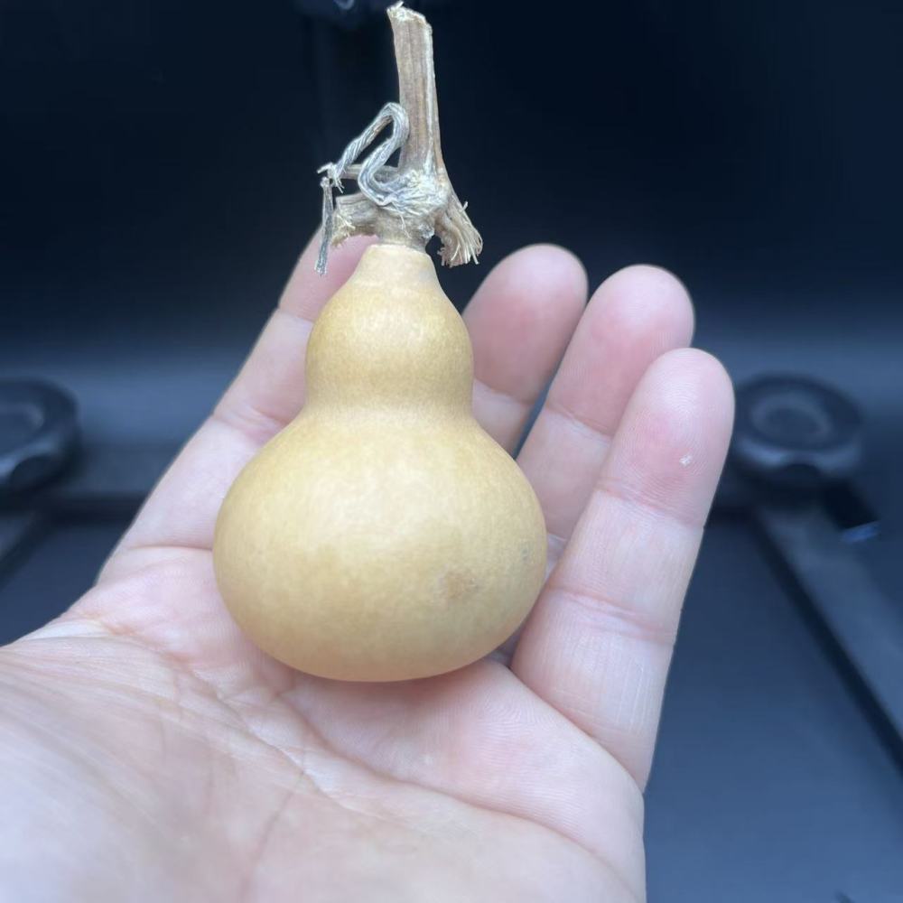Natural Hand-Picked Wenwan Gourd | Playable & Collectible, Patina-Forming, Hand-Polished, Perfect for Wenwan Enthusiasts & Collectors