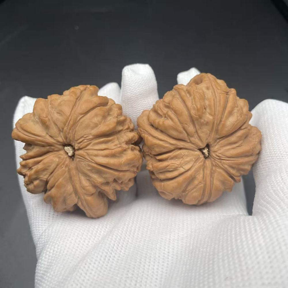 Premium Longding Triangular Wenwan Walnut | Dragon Cauldron Triangular Gourd Walnut for Collection & Hand Play, Natural Matured Nut with Exquisite Texture