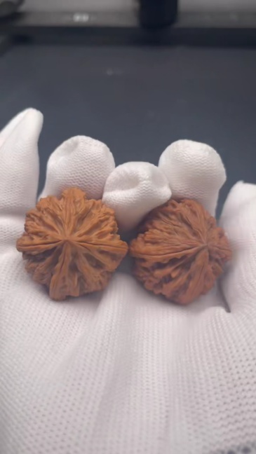 Premium Apple Four-Edged Wenwan Walnut | Collectible Grade Hand-Matched Pair | Natural Old Tree Walnut | High Patina Potential & Market Value | Lucky Collectible