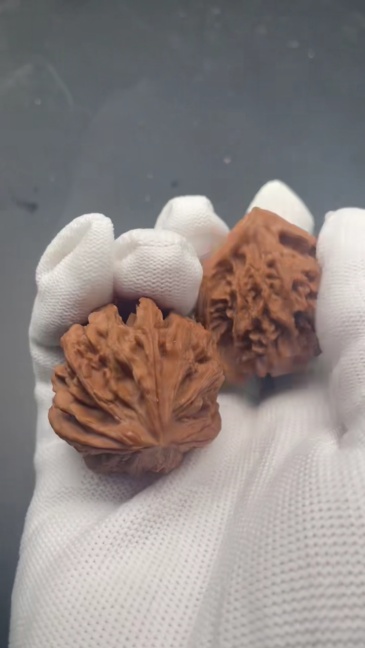 Premium Qinling 3-Ridged Wenwan Walnuts - Rare Wild Collectible Hand Pieces for Meditation & Investment