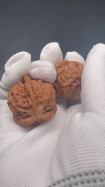 Premium Qinmen Triangular Wenwan Walnut, Natural Hand-Picked Gourd Walnut for Collection & Play, High-Quality Matured Walnut with Smooth Texture