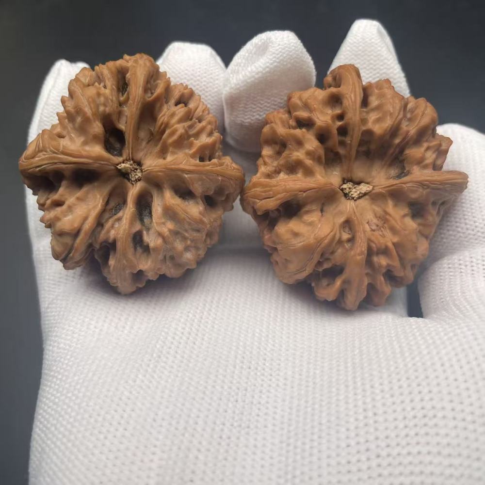 Premium Wild Buffalo Four-Edged Wenwan Walnut | Collectible Grade Hand-Matched Pair | Natural Old Tree Raw Material | High Patina Potential & Market Value