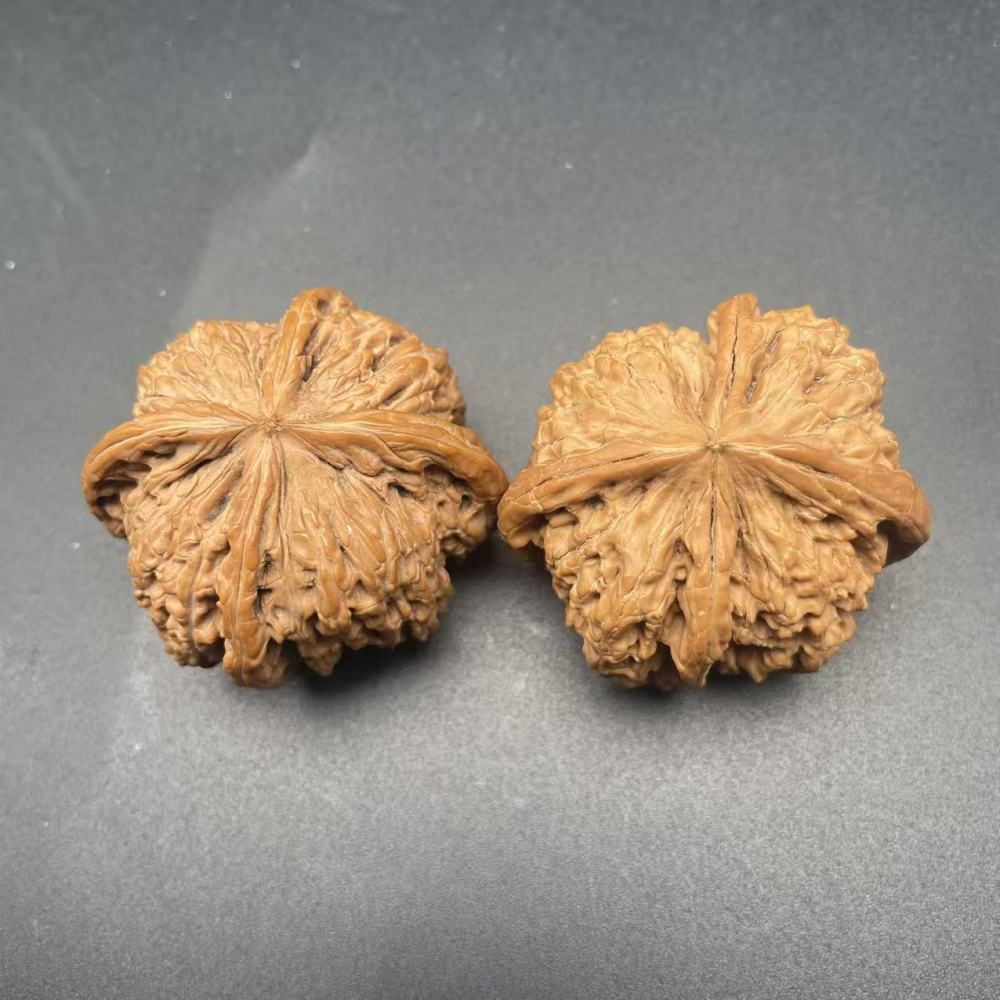 Premium White Lion Four-Edge Wenwan Walnuts, Natural Hand-Picked Hardwood Walnuts for Hand Play, Meditation, Collection & Gift, High-Quality Texture & Symmetrical Shape, Ready to Patina