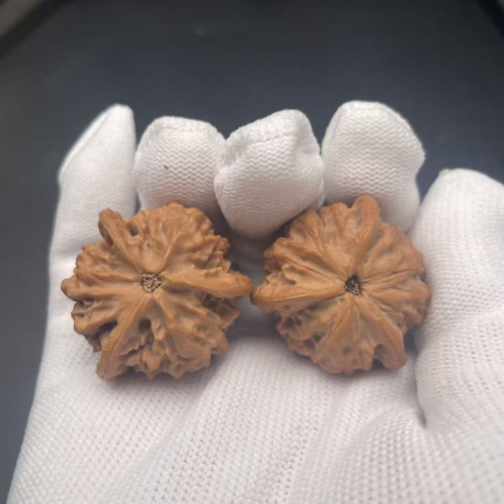 Premium Qinmen Triangular Wenwan Walnut, Natural Hand-Picked Gourd Walnut for Collection & Play, High-Quality Matured Walnut with Smooth Texture