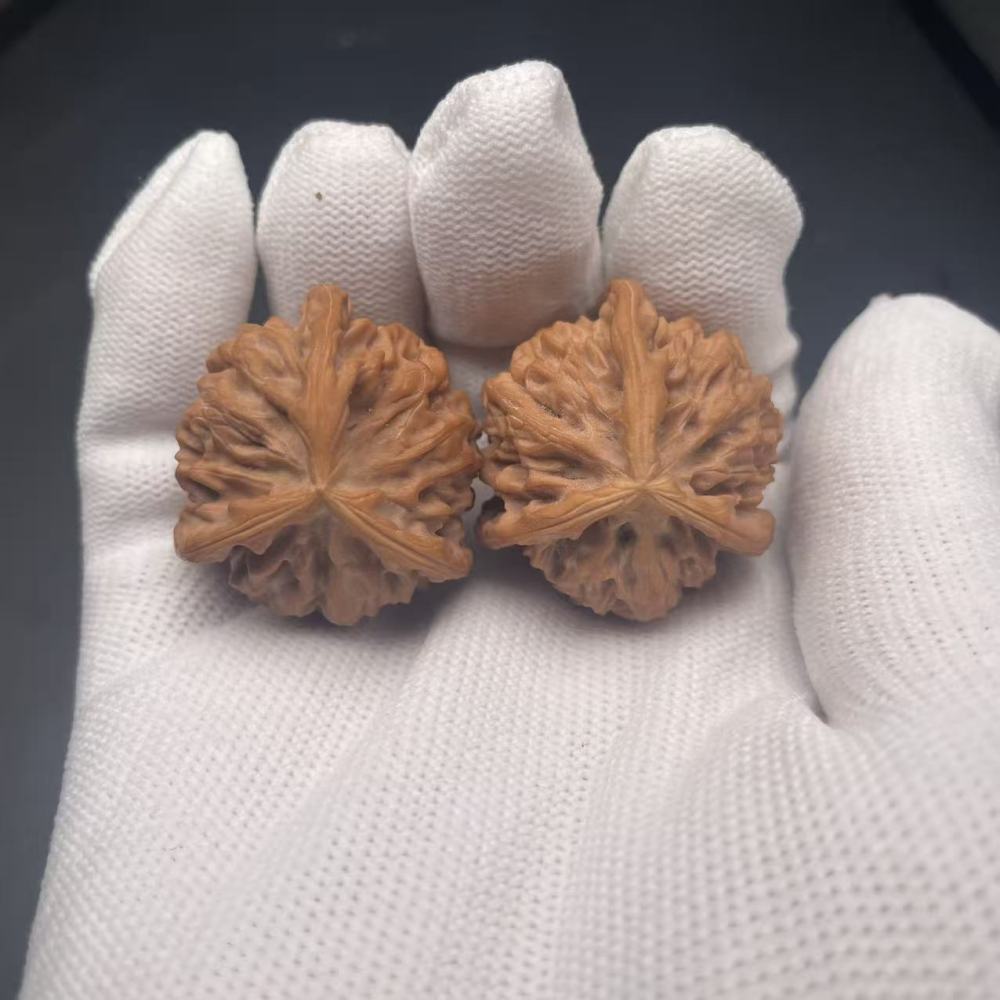 Premium Qinmen Triangular Wenwan Walnut, Natural Hand-Picked Gourd Walnut for Collection & Play, High-Quality Matured Walnut with Smooth Texture