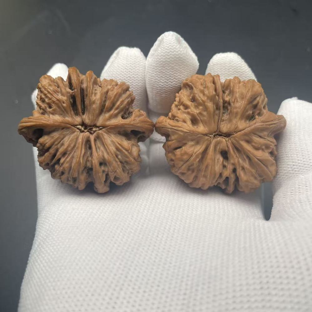 Premium White Lion Four-Edge Wenwan Walnuts, Natural Hand-Picked Hardwood Walnuts for Hand Play, Meditation, Collection & Gift, High-Quality Texture & Symmetrical Shape, Ready to Patina