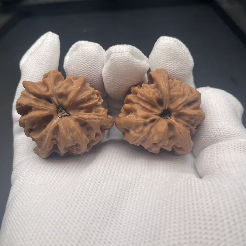 Premium Cao Dalong 3-Ridged Walnut Hand Pieces - Rare Collectible Wenwan Walnuts for Meditation & Collection