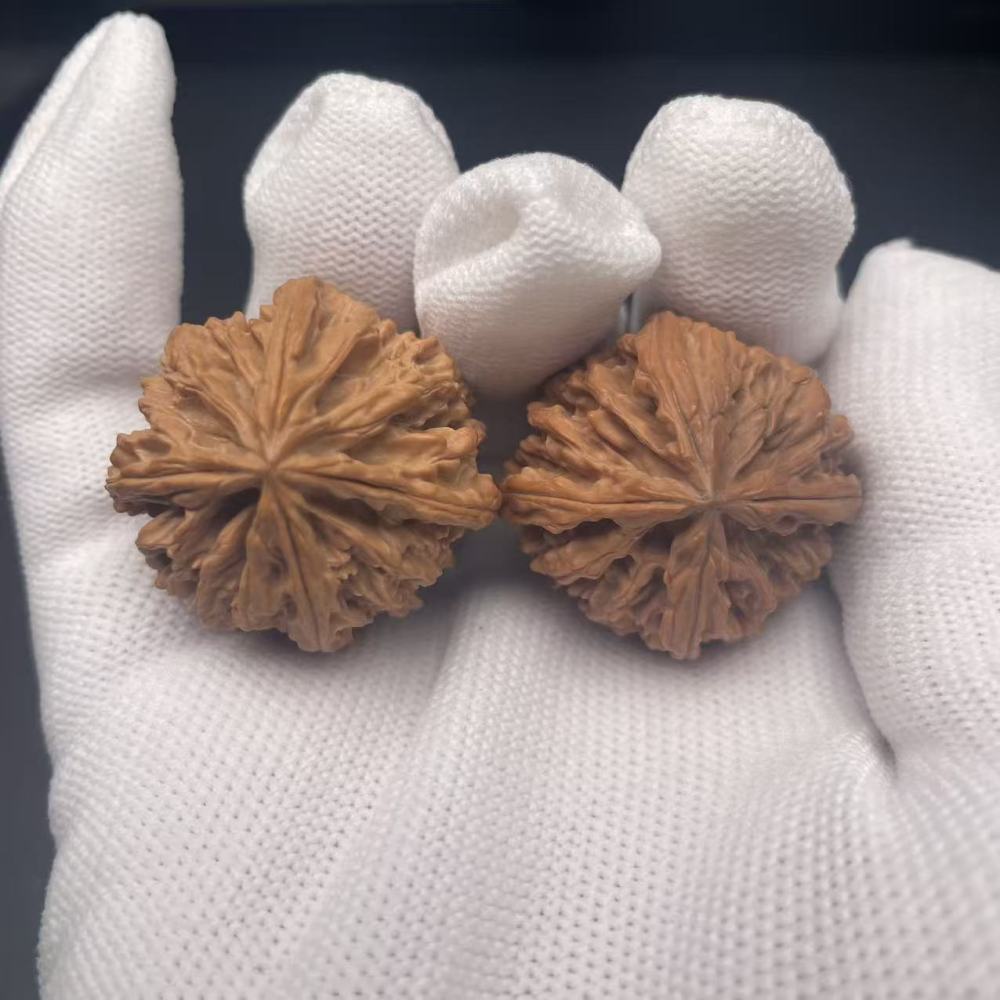 Premium Apple Four-Edged Wenwan Walnut | Collectible Grade Hand-Matched Pair | Natural Old Tree Walnut | High Patina Potential & Market Value | Lucky Collectible