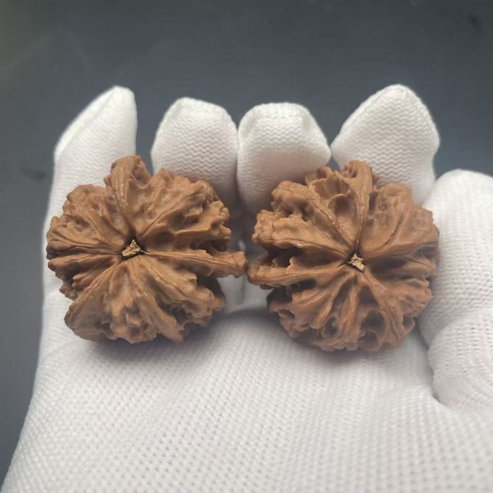 Premium Qinling 3-Ridged Wenwan Walnuts - Rare Wild Collectible Hand Pieces for Meditation & Investment