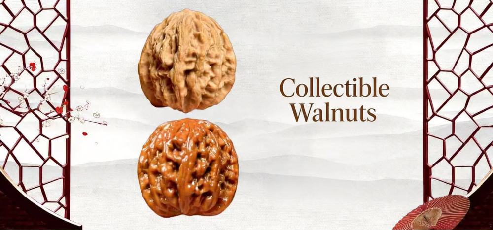 Hand-Carved Lucky Golden Toad Wenwan Walnut | Collectible Grade Hand-Matched Pair | Natural Old Tree Material | High Patina Potential & Wealth Blessing