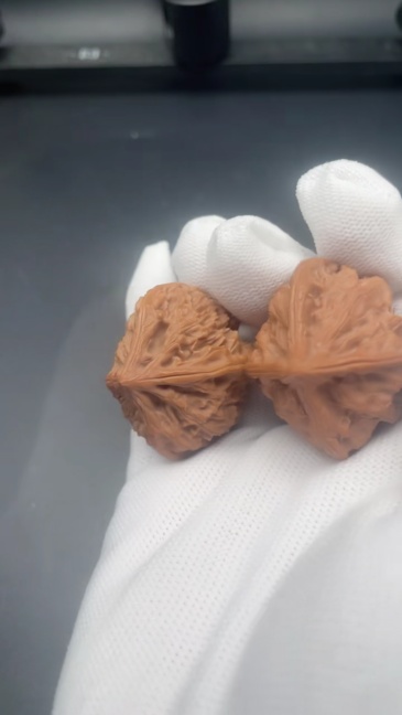 Natural Qinling Three-Ridged Chinese Walnuts - Hand Exercise Massage Walnuts, Premium Collectible Fidget Toys for Wellness & Feng Shui